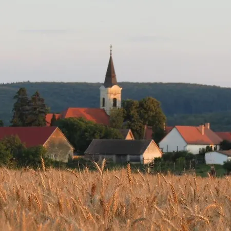 Titi House * Bakonykoppány
