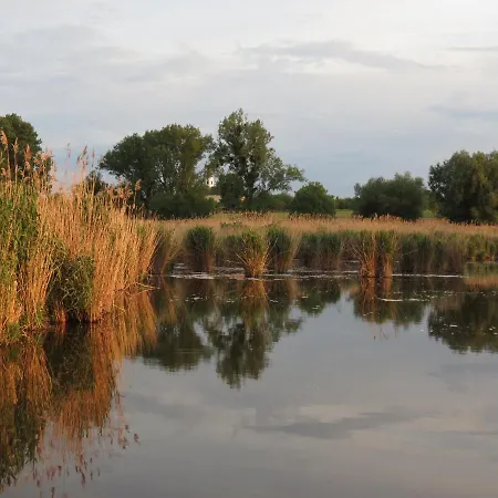 Titi House Bakonykoppány