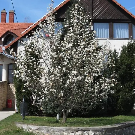 Titi House Appartement *