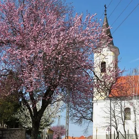 Titi House Bakonykoppány